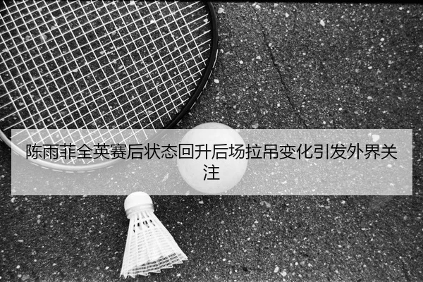 陈雨菲全英赛后状态回升后场拉吊变化引发外界关注
