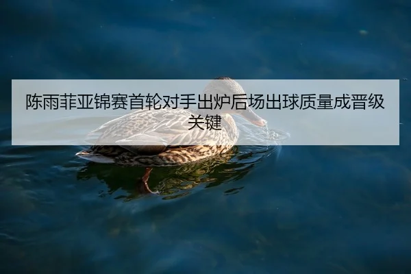 陈雨菲亚锦赛首轮对手出炉后场出球质量成晋级关键